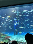 サンシャイン水族館に投稿された画像（2024/8/17）