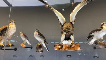 滋賀県立琵琶湖博物館に投稿された画像（2024/8/16）