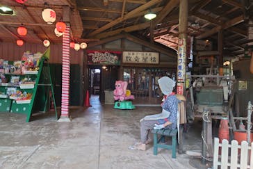 みろくの里に投稿された画像（2024/8/16）