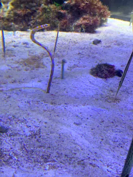 名古屋港水族館に投稿された画像（2024/8/16）