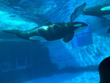 名古屋港水族館に投稿された画像（2024/8/16）