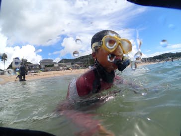 Diving ショップKiaoraに投稿された画像（2024/8/16）