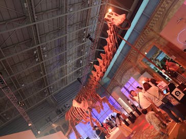 巨大恐竜展2024に投稿された画像（2024/8/16）