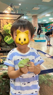 いきもの探検隊上尾に投稿された画像（2024/8/16）