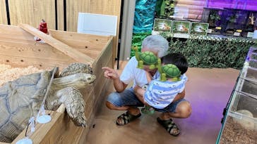 いきもの探検隊上尾に投稿された画像（2024/8/16）