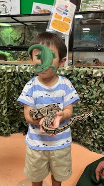 いきもの探検隊上尾に投稿された画像（2024/8/16）