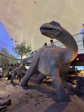 福井県立恐竜博物館に投稿された画像（2024/8/16）