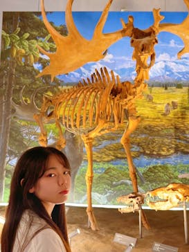 福井県立恐竜博物館に投稿された画像（2024/8/16）