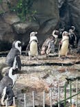 サンシャイン水族館に投稿された画像（2024/8/17）