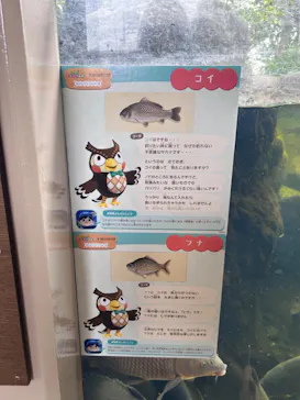 仙台うみの杜水族館に投稿された画像（2024/8/17）