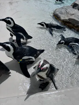 仙台うみの杜水族館に投稿された画像（2024/8/17）