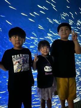 大分マリーンパレス水族館 「うみたまご」に投稿された画像（2024/8/17）