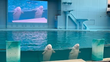 横浜・八景島シーパラダイスに投稿された画像（2024/8/17）
