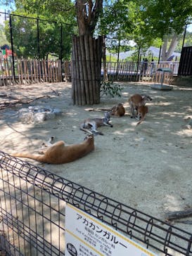 名古屋市東山動植物園に投稿された画像（2024/8/17）