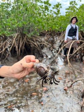 西表島 ADVENTURE PiPi（アドベンチャーピピ）に投稿された画像（2024/8/17）