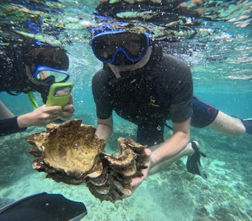 西表島 ADVENTURE PiPi（アドベンチャーピピ）に投稿された画像（2024/8/17）