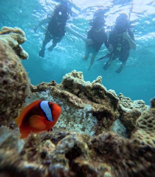 西表島 ADVENTURE PiPi（アドベンチャーピピ）に投稿された画像（2024/8/17）