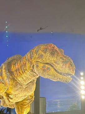 福井県立恐竜博物館に投稿された画像（2024/8/17）