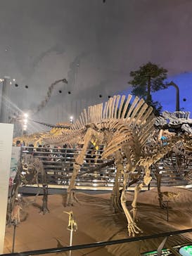 福井県立恐竜博物館に投稿された画像（2024/8/17）