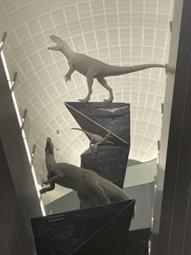 福井県立恐竜博物館に投稿された画像（2024/8/17）