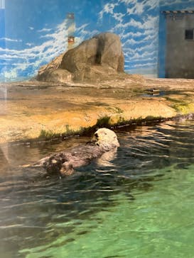 マリンワールド海の中道に投稿された画像（2024/8/17）