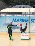 下田海中水族館に投稿された画像（2024/8/17）