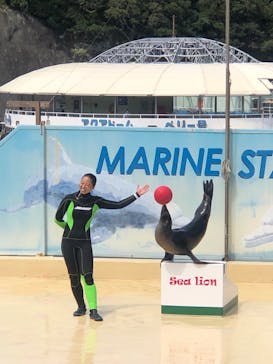 下田海中水族館に投稿された画像（2024/8/17）