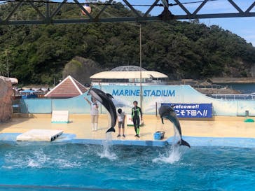 下田海中水族館に投稿された画像（2024/8/17）
