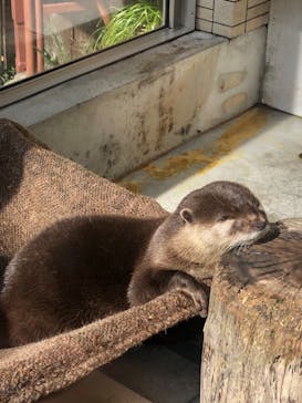 下田海中水族館に投稿された画像（2024/8/17）