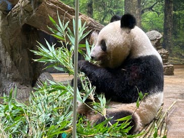 恩賜上野動物園に投稿された画像（2024/8/17）