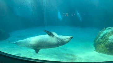 名古屋港水族館に投稿された画像（2024/8/17）