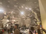国立科学博物館に投稿された画像（2024/8/17）