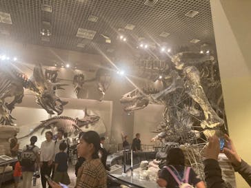国立科学博物館に投稿された画像（2024/8/17）