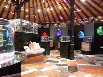 水中楽園アクアリウムに投稿された画像（2024/8/17）