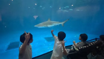 名古屋港水族館に投稿された画像（2024/8/17）