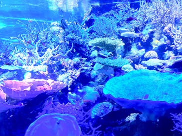 名古屋港水族館に投稿された画像（2024/8/17）