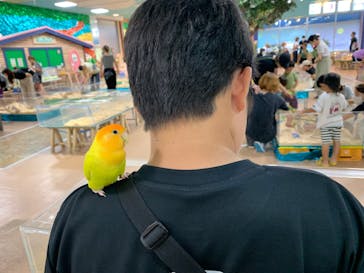 いきもの探検隊上尾に投稿された画像（2024/8/17）