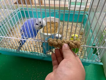 いきもの探検隊上尾に投稿された画像（2024/8/17）