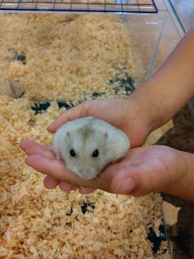 いきもの探検隊湘南に投稿された画像（2024/8/17）