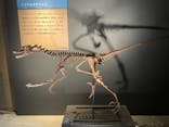 福井県立恐竜博物館に投稿された画像（2024/8/17）