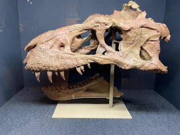 福井県立恐竜博物館に投稿された画像（2024/8/17）