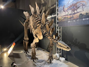 福井県立恐竜博物館に投稿された画像（2024/8/17）