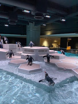 AOAO SAPPOROに投稿された画像（2024/8/17）