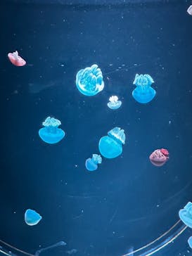 AOAO SAPPOROに投稿された画像（2024/8/17）