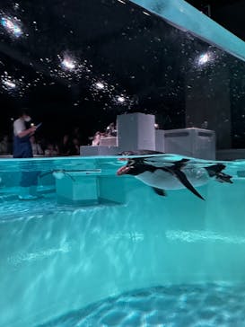 AOAO SAPPOROに投稿された画像（2024/8/17）