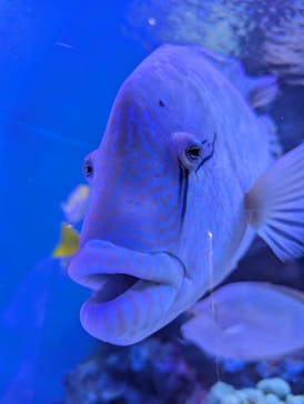 竹島水族館に投稿された画像（2024/8/17）