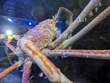 竹島水族館に投稿された画像（2024/8/17）