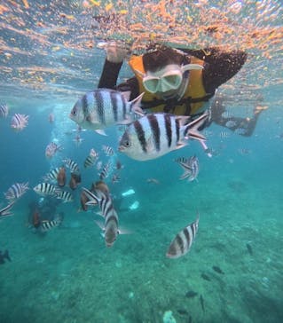 沖縄マリンサービス碧に投稿された画像（2024/8/17）