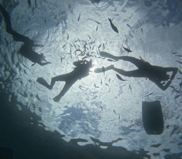 沖縄マリンサービス碧に投稿された画像（2024/8/17）