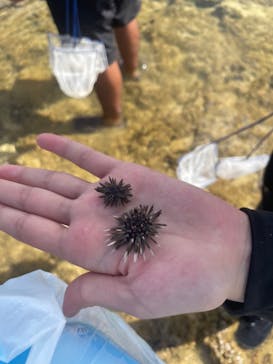 ゆしゆしに投稿された画像（2024/8/17）